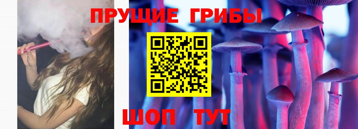 Тольятти  Галлюциногенные грибы Psilocybine cubensis  купить наркотики цена  Вход с VPN 